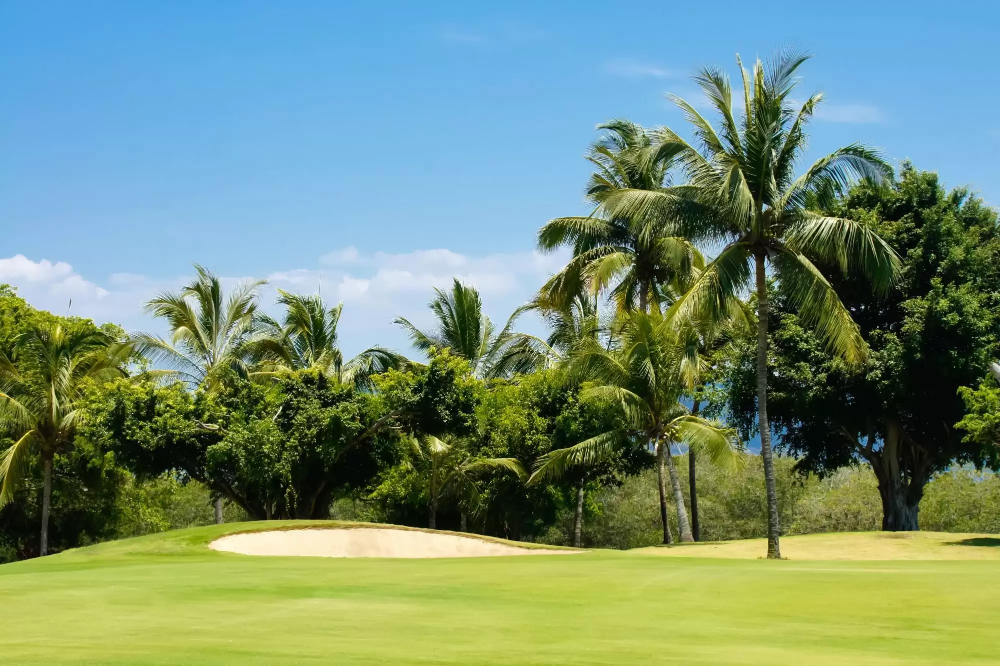 MJ Holidays Mauritius - Golf